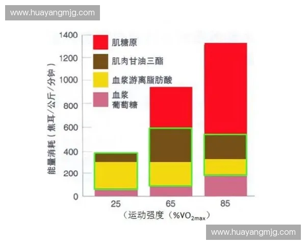 运动代谢机制与能量转化过程对运动表现的影响及其调节策略
