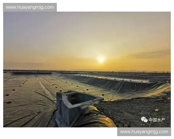 水花压制策略的创新与实践：提升水域运动效率与安全性的关键技术分析