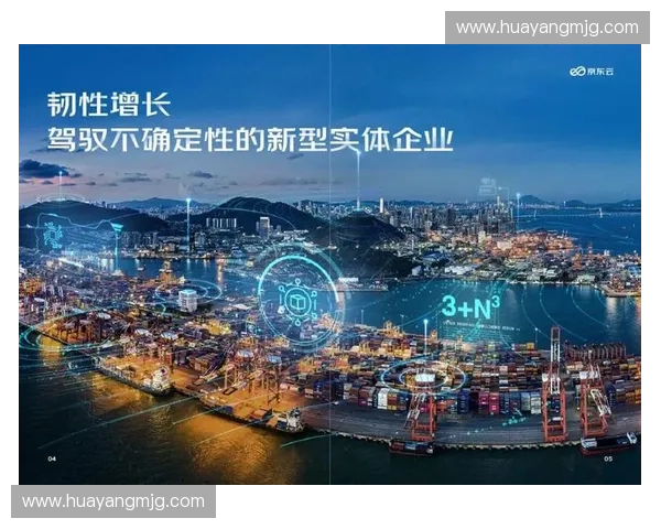 以对抗稳定为核心构建系统韧性与长期安全新范式探索理论实践融合路径