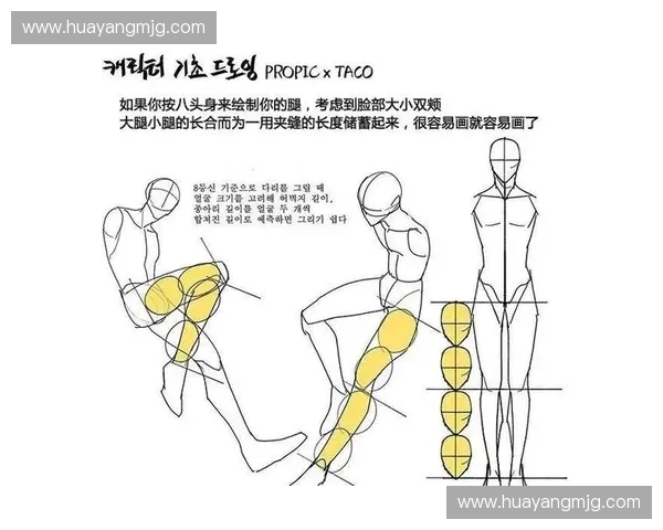 以臂展长度衡量人体比例与运动能力的科学研究分析